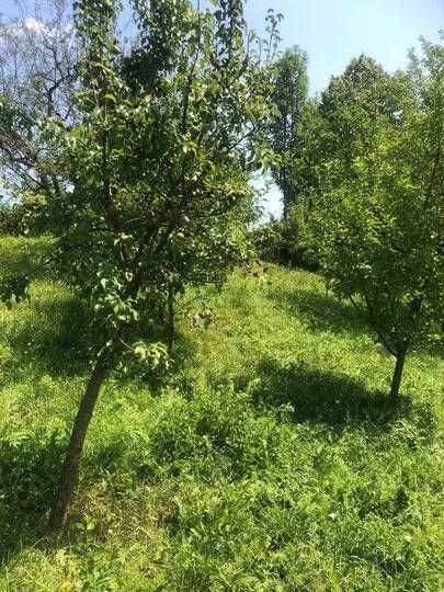 casa de vanzare Valea Leurzii judet Dambovita