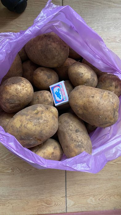 Продам картофель 200тг за кг