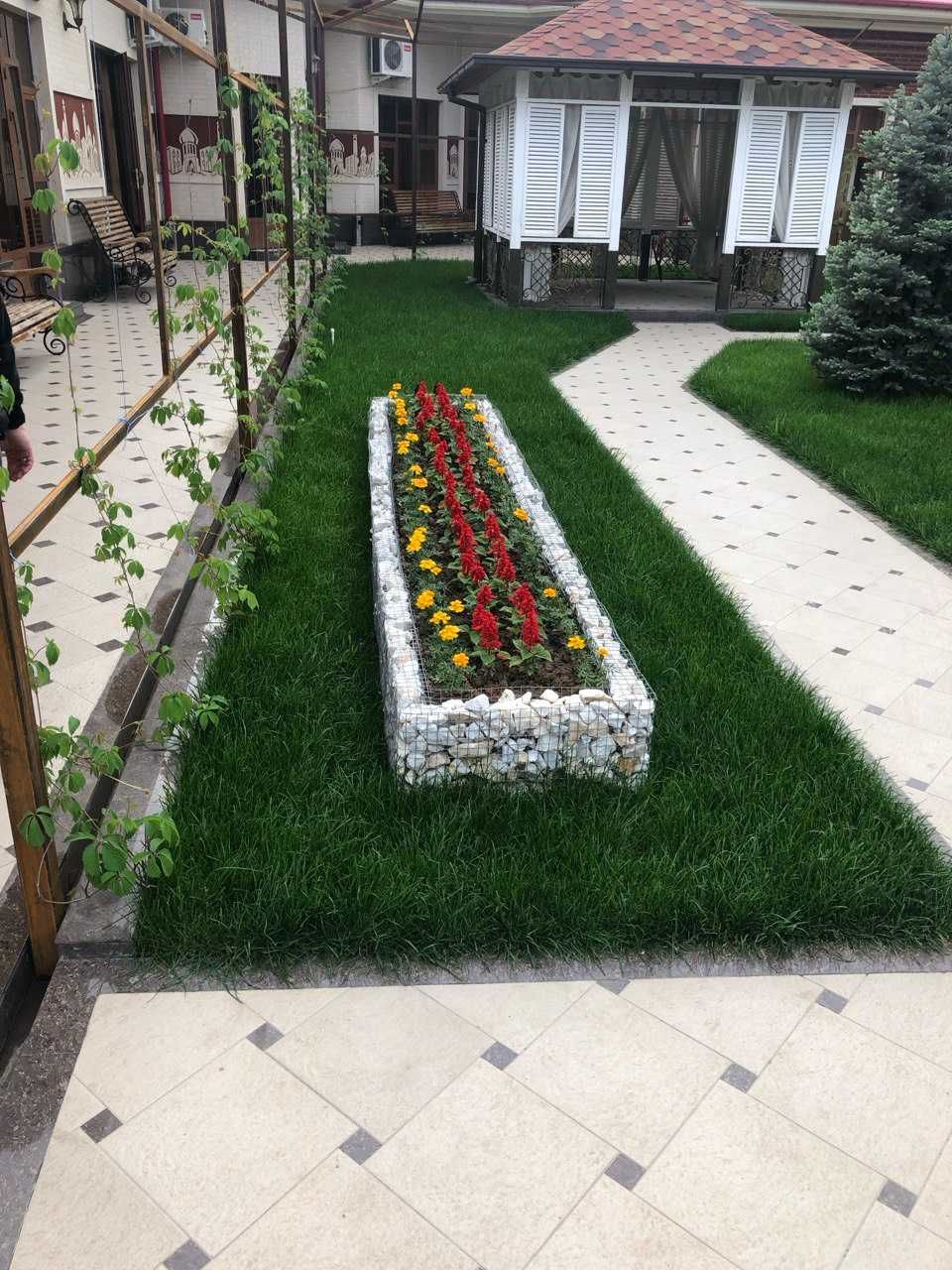 Archa Kesish , Gazon ,  Landshaft , Shamshod,  Gul Ekish Xizmati