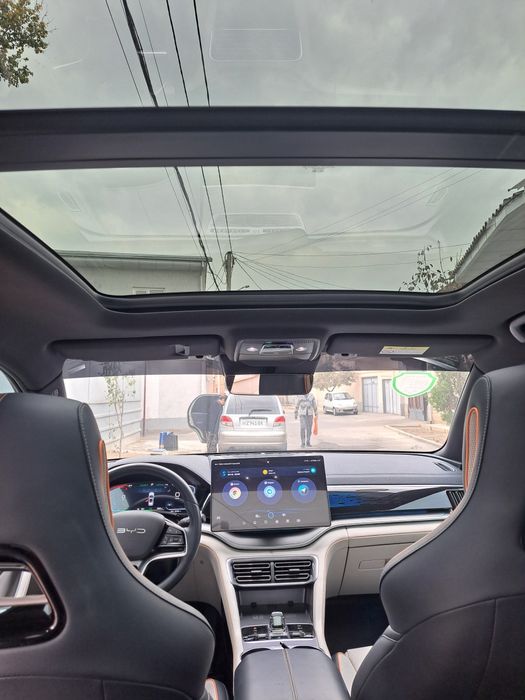 Chinpion   605  talik  flagship