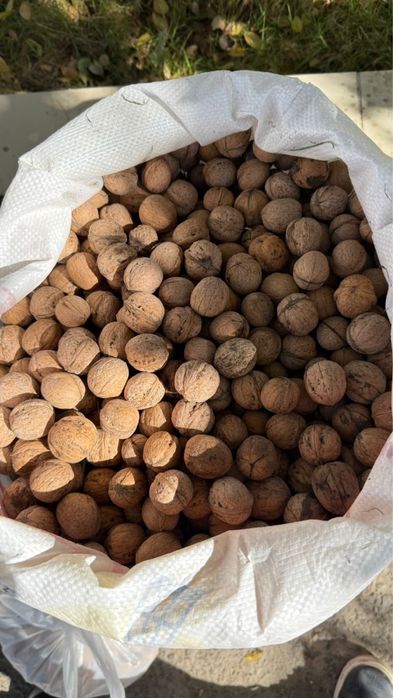 Жаңғақ бар оптом 20 қап бар апарып береміз доставка бар