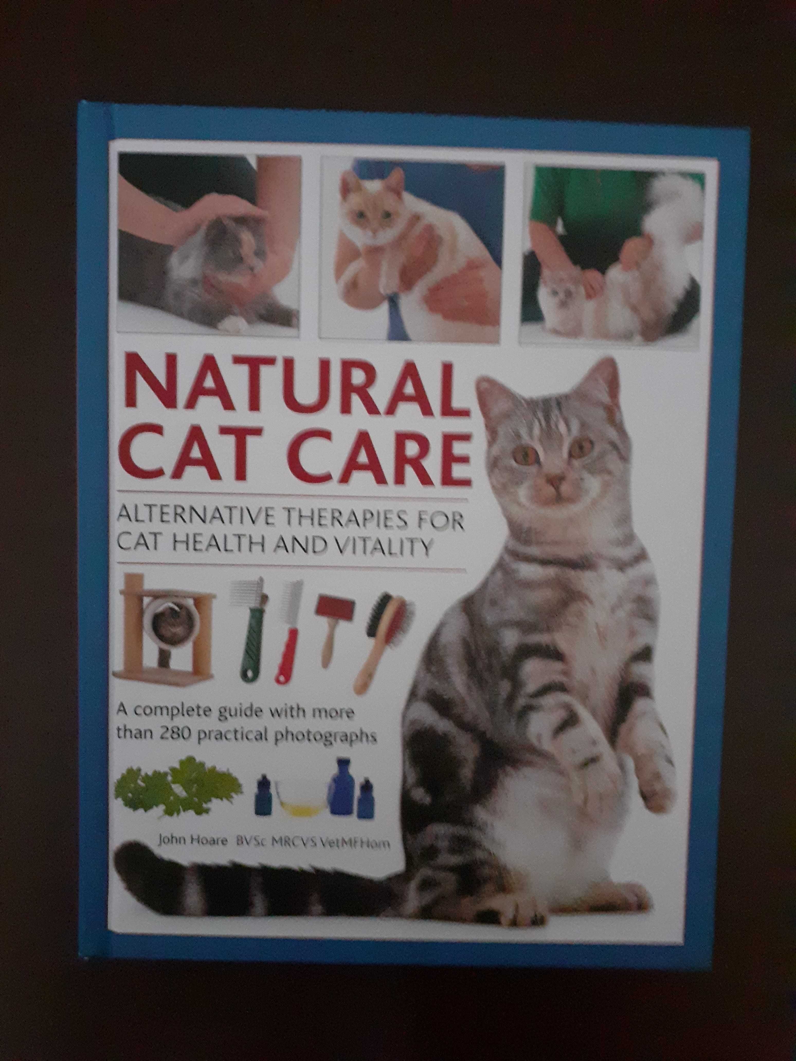 Natural cat care - alternative therapies for cat health and vitality