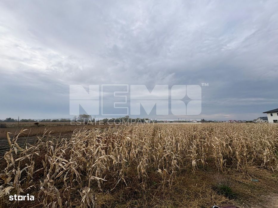Teren de vânzare | 52 ari | intravilan | Zonă liniștită | Rădăuți