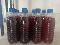 Sirop de muguri de brad