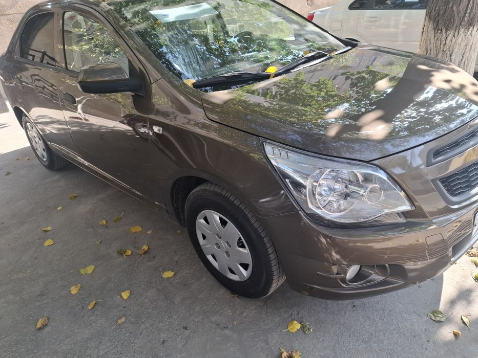 Продам коблт 2024 викубга бераман