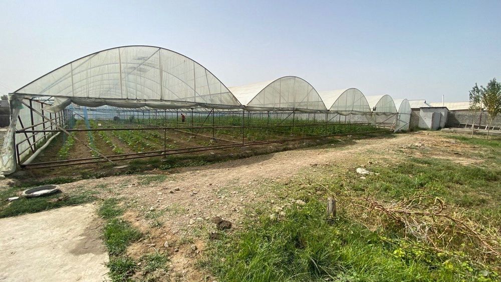 Ховлу участка сотилади