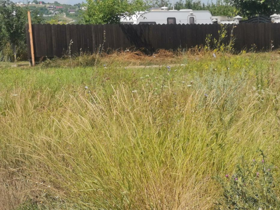 Bucium, 750 mp INTRAVILAN-PERFECT PLAN , 17 euro/MP, 6 km din Iași