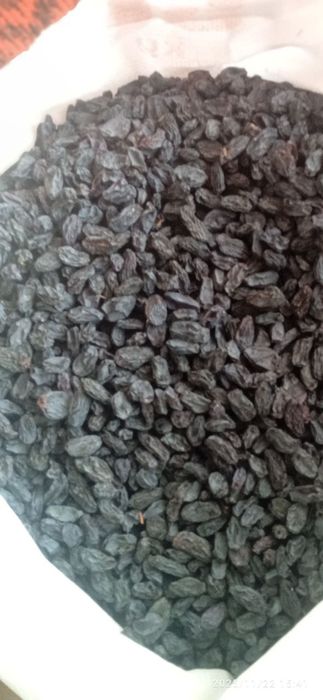 Soyakki Magiz qon koʻpaytirish uchun kuch beradi tabiy dastafka