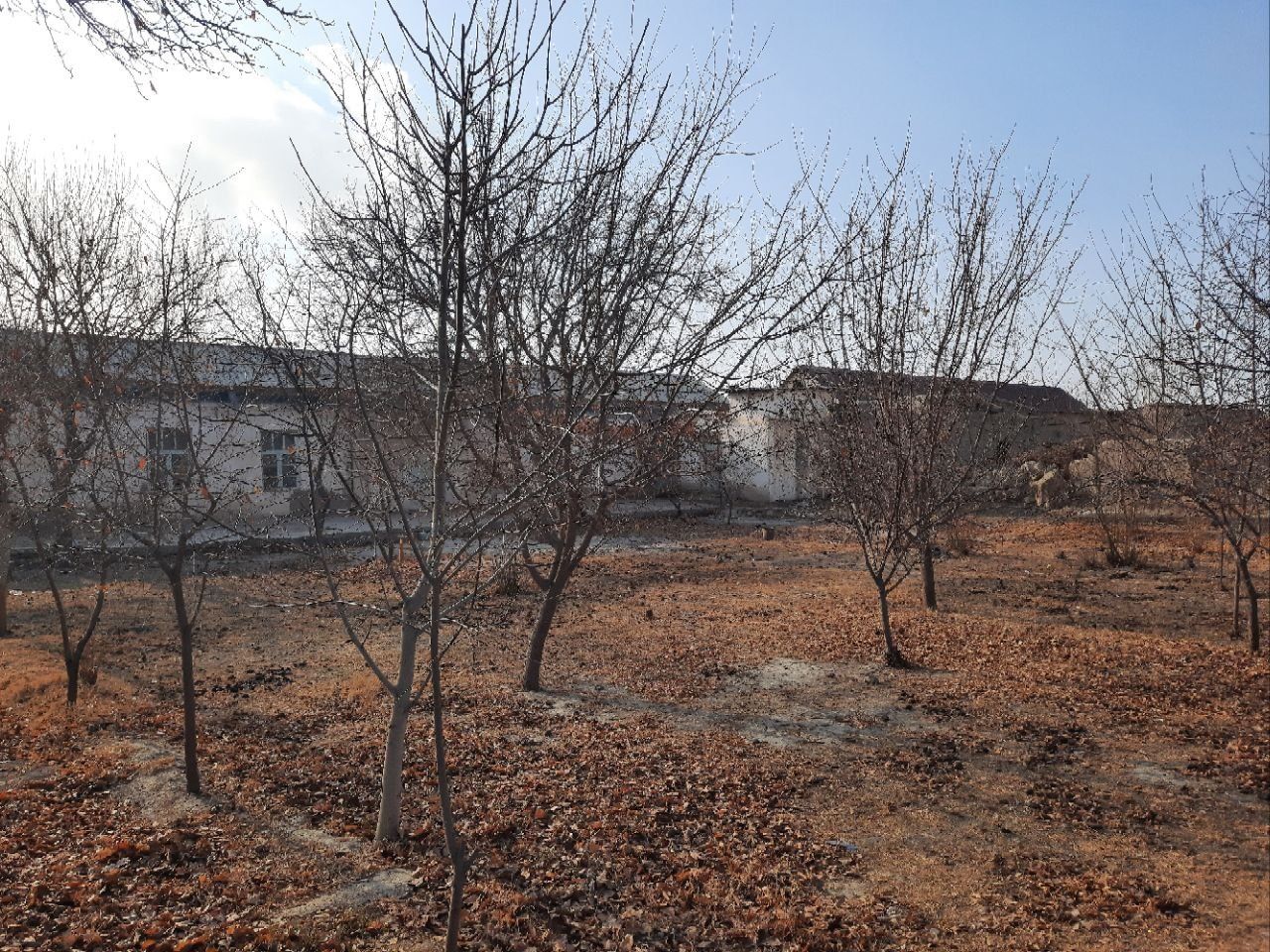 Hovli sotiladi 10 sotix, Karmana tumani, Yangiariq ko'chasi 7
