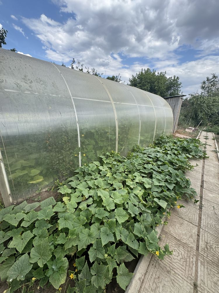 Продам дом со всеми удобствами