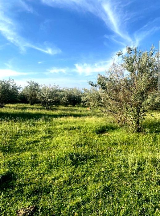 Участок. БЕРЕКЕ Қарасай ауданы