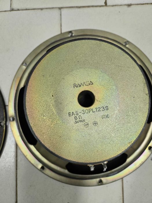 Японски говорители  RAMSA