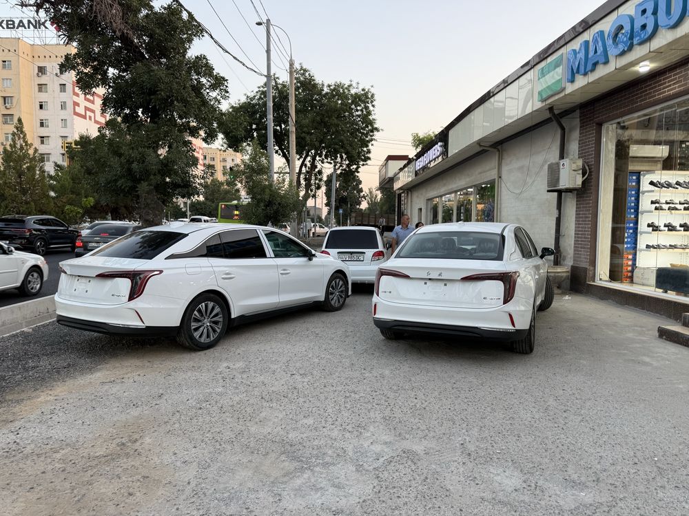 Hongqi eqm-5 elektr