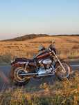 Harley Davidson Sportster XL1200L Willie G custom
