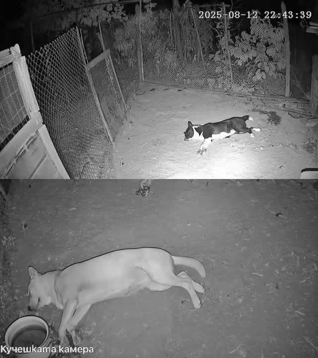 Външна камера за видеонаблюдение FipTec в гаранция