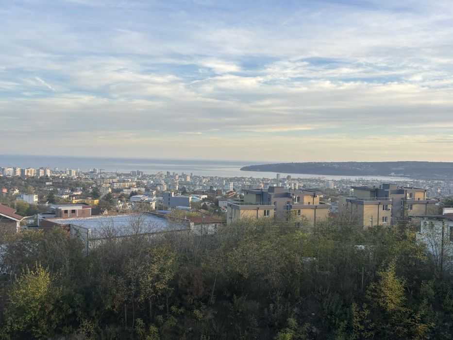 Студио/Варна Пчелина