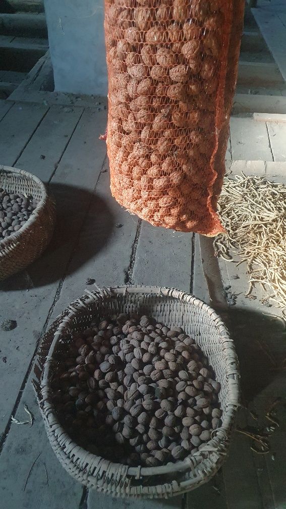 Nuc un coajāi prodycrie 2013