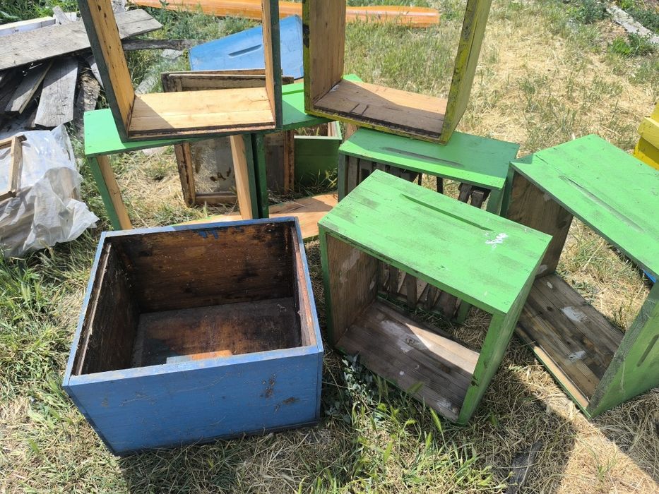 Vând cutii stupi 10 rame