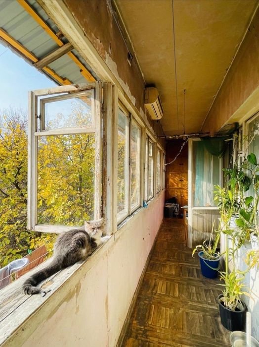 2-4/2/5  дархан спецплан 115кв. 2 санузла Лифт