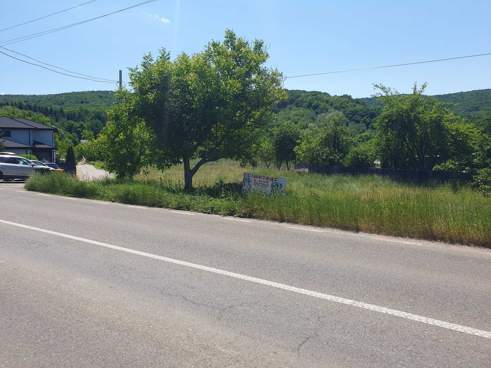 Teren Luncani, jud. Bacau, intravilan, 2286 mp, toate utilitatile