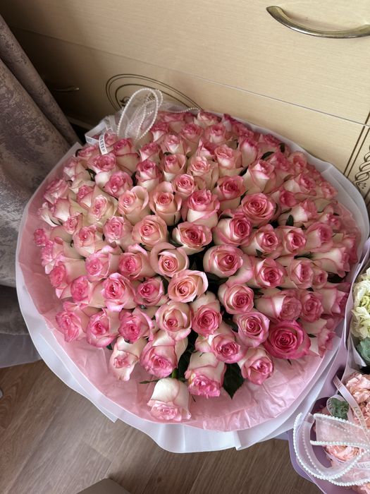 Цветы Роза Голландские