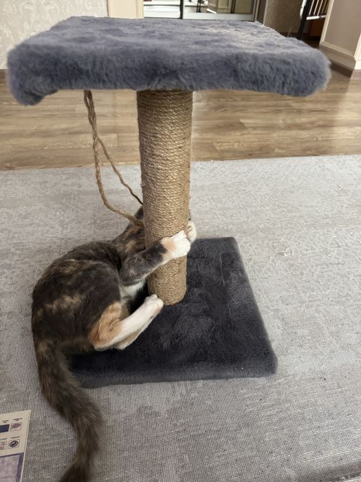 Продам когтеточку