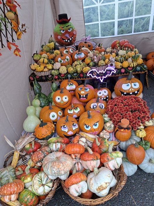 Dovleci decorativi si tărtăcuțe