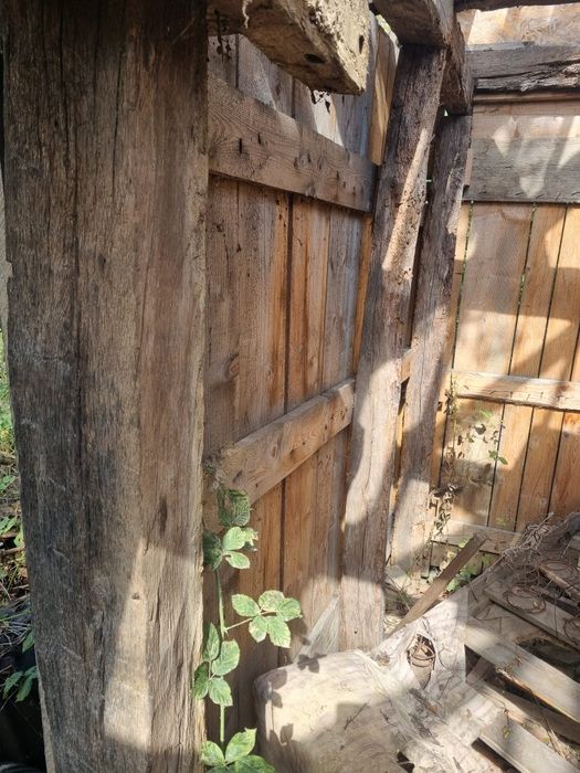 Lemn construcții peste 100 ani