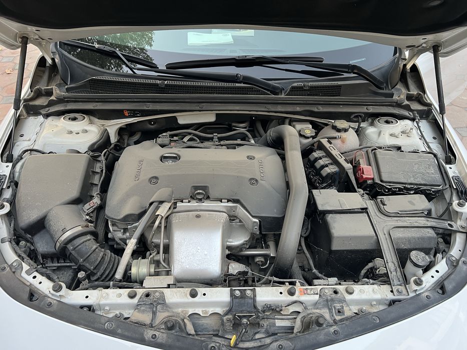 Malibu 2 Premier Masloooo