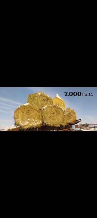 Продам сено и солома в больших рулонах