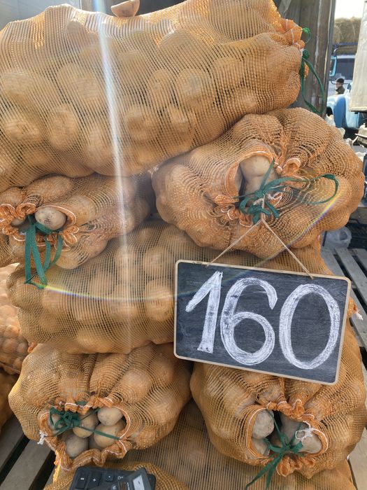 Картофель Ривьера , новинка .