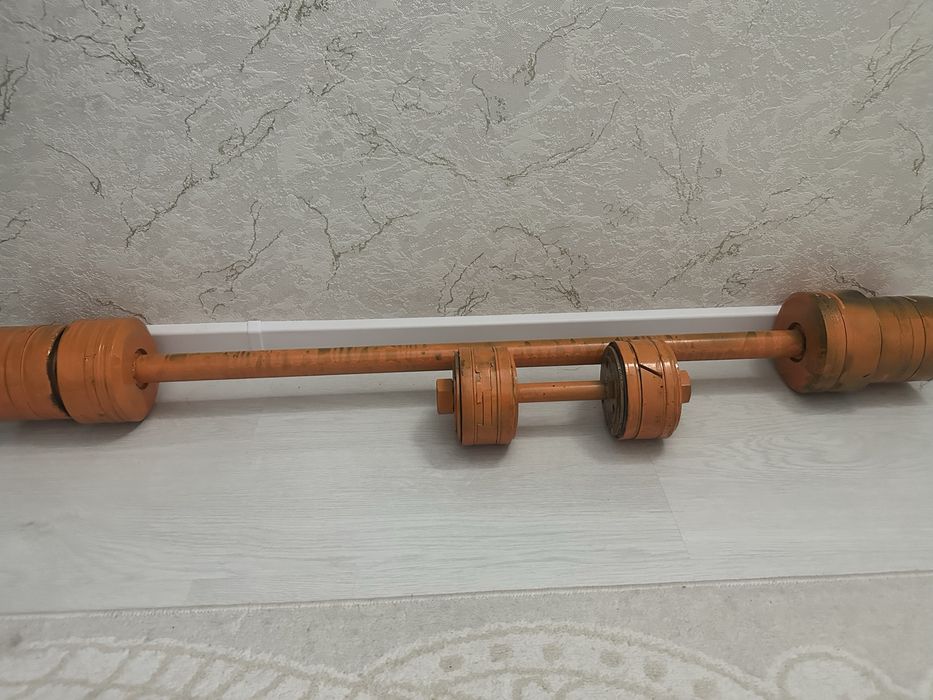 Штанга и гантель