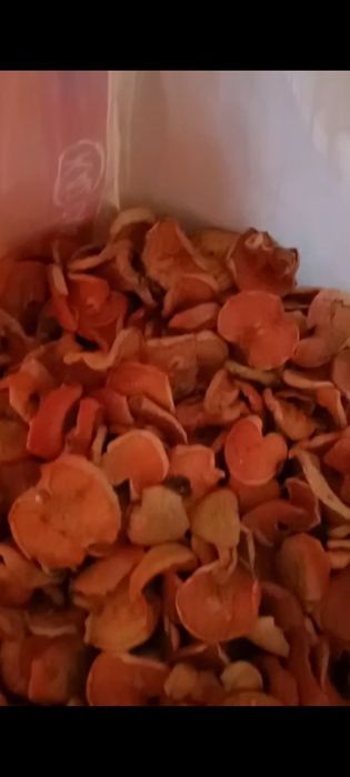 Алма қақ бар аламын деушілер болса хабарласыңдар тауда өскен алма ағаш