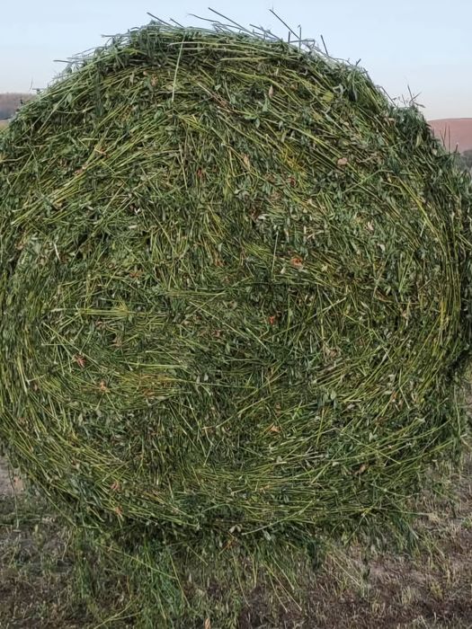 Vând baloti infoliati