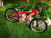 Bicicleta copii 20 inch