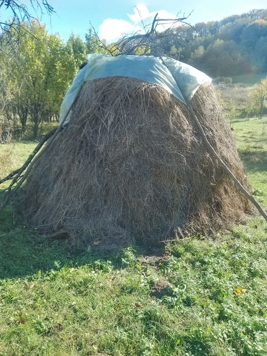 Fân  de bună calitate de vanzare