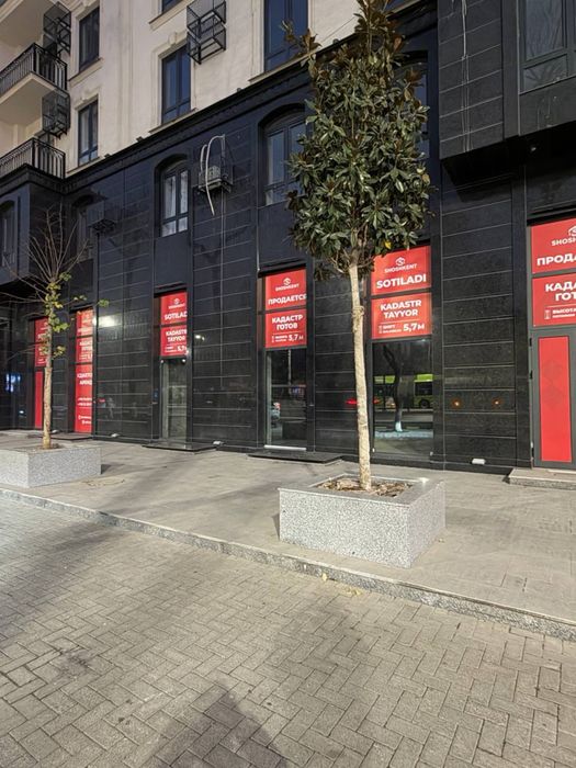 Ул.Шота Руставели нежилое помещение 181кв.м первая линия фасад 14метр