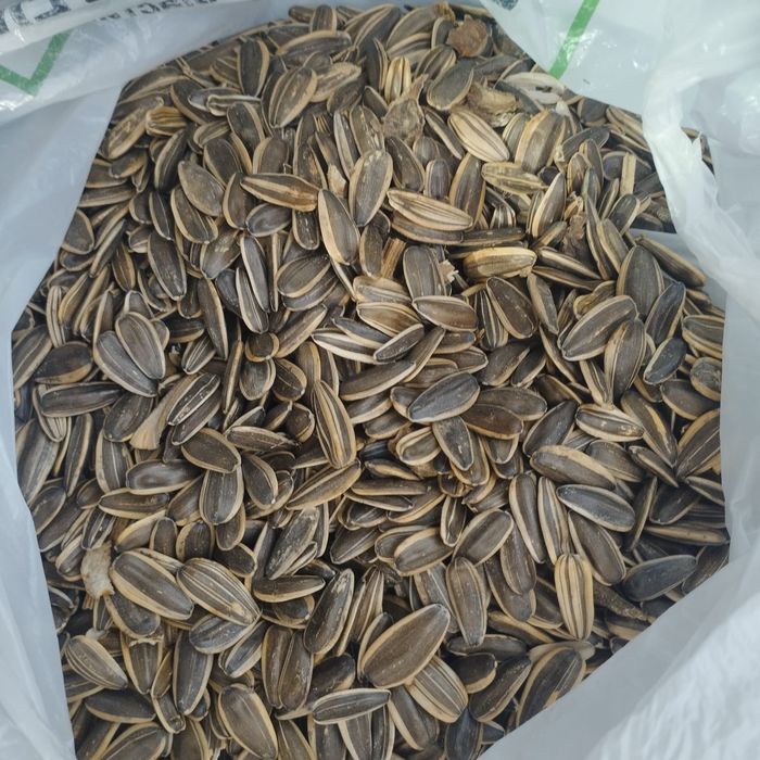 Семечки подсолнечника оптом