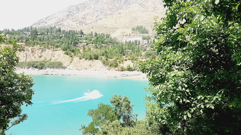 Dacha oila va ulfatlar uchun