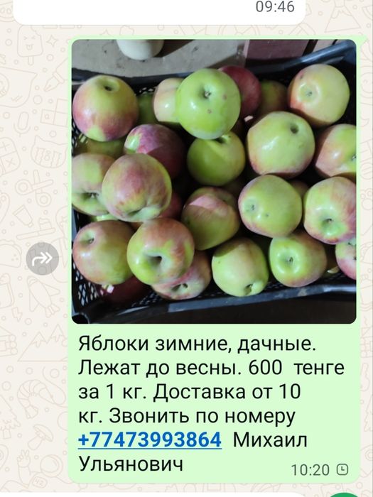 Яблоки зимние дачные местные