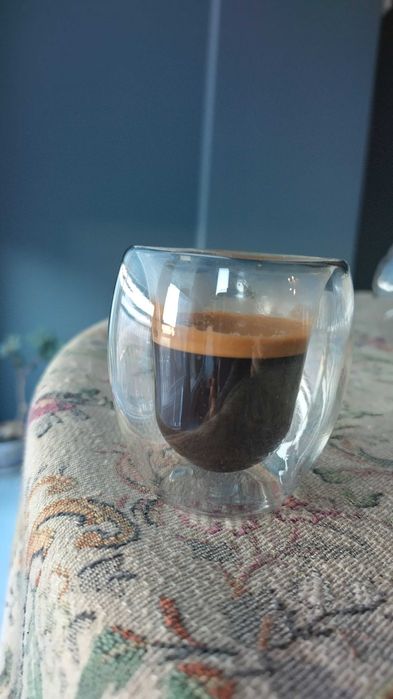 Gaggia Classic 30 anniversary The Icon