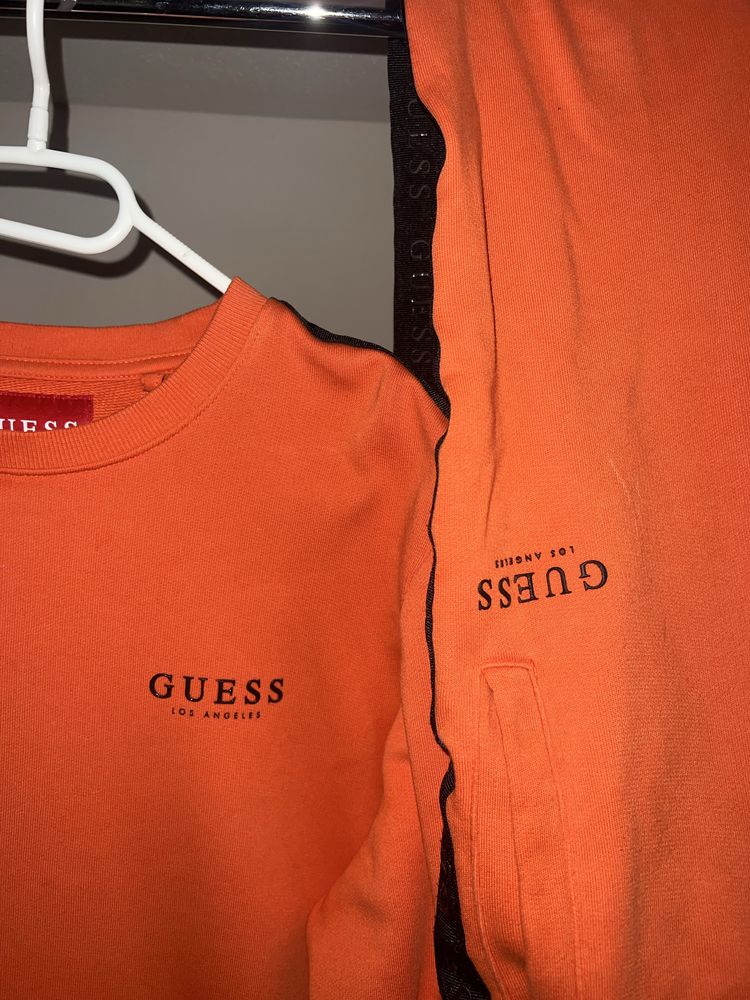 Trening GUESS Orange