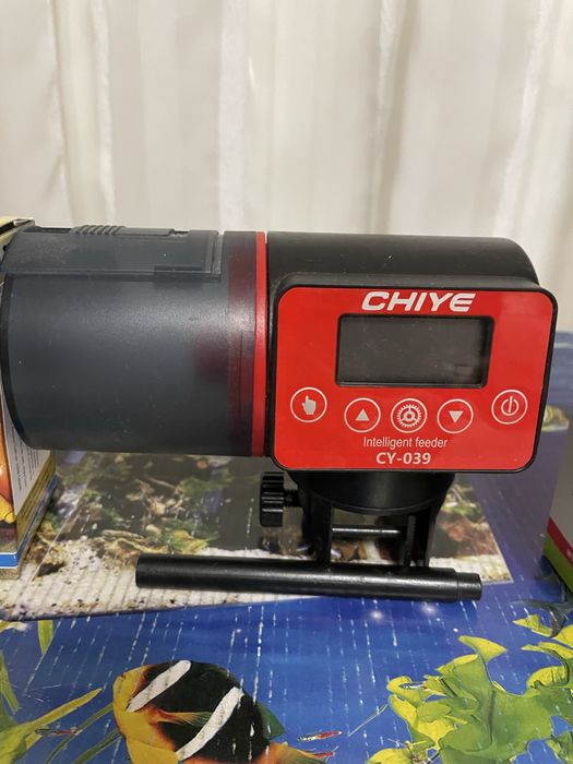 Acvariu broasca testoasa