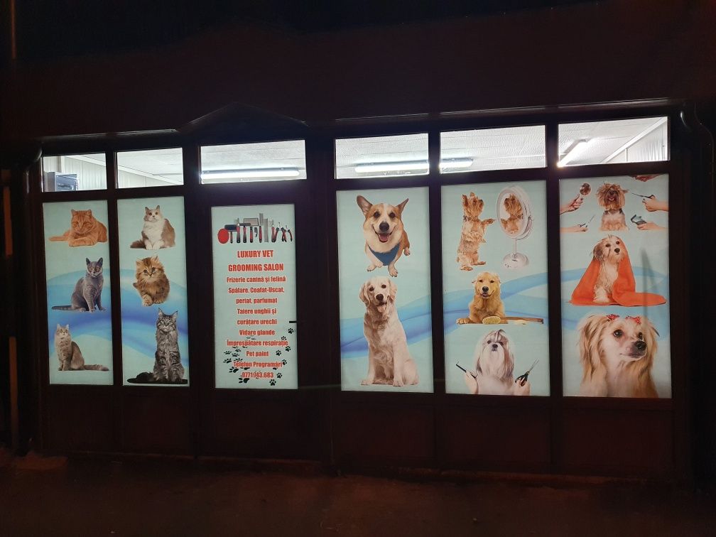 Salon frizerie canina si felina