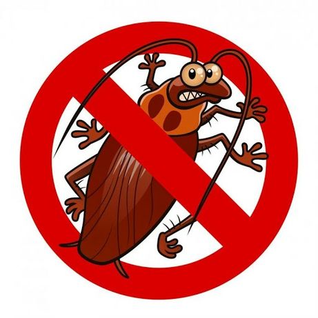 Эффективное средство от муравьев клопов тараканов и других насекомых