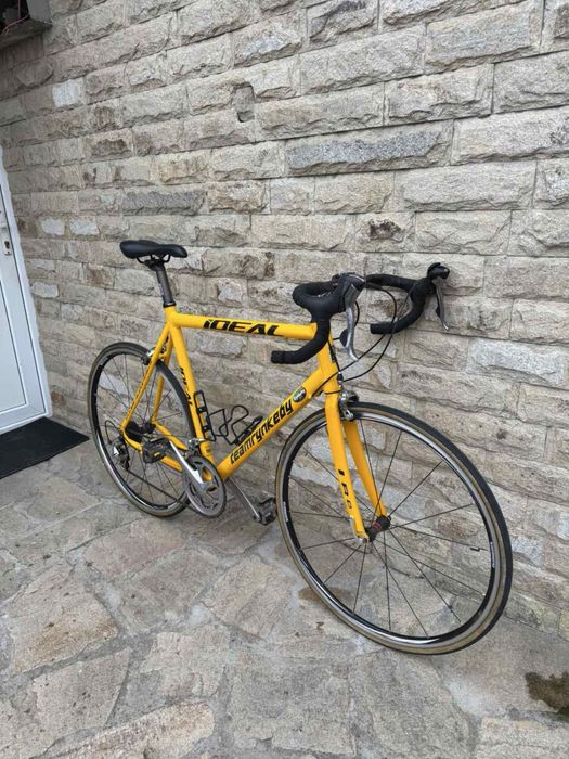 Ideal Team Rynkeby XL