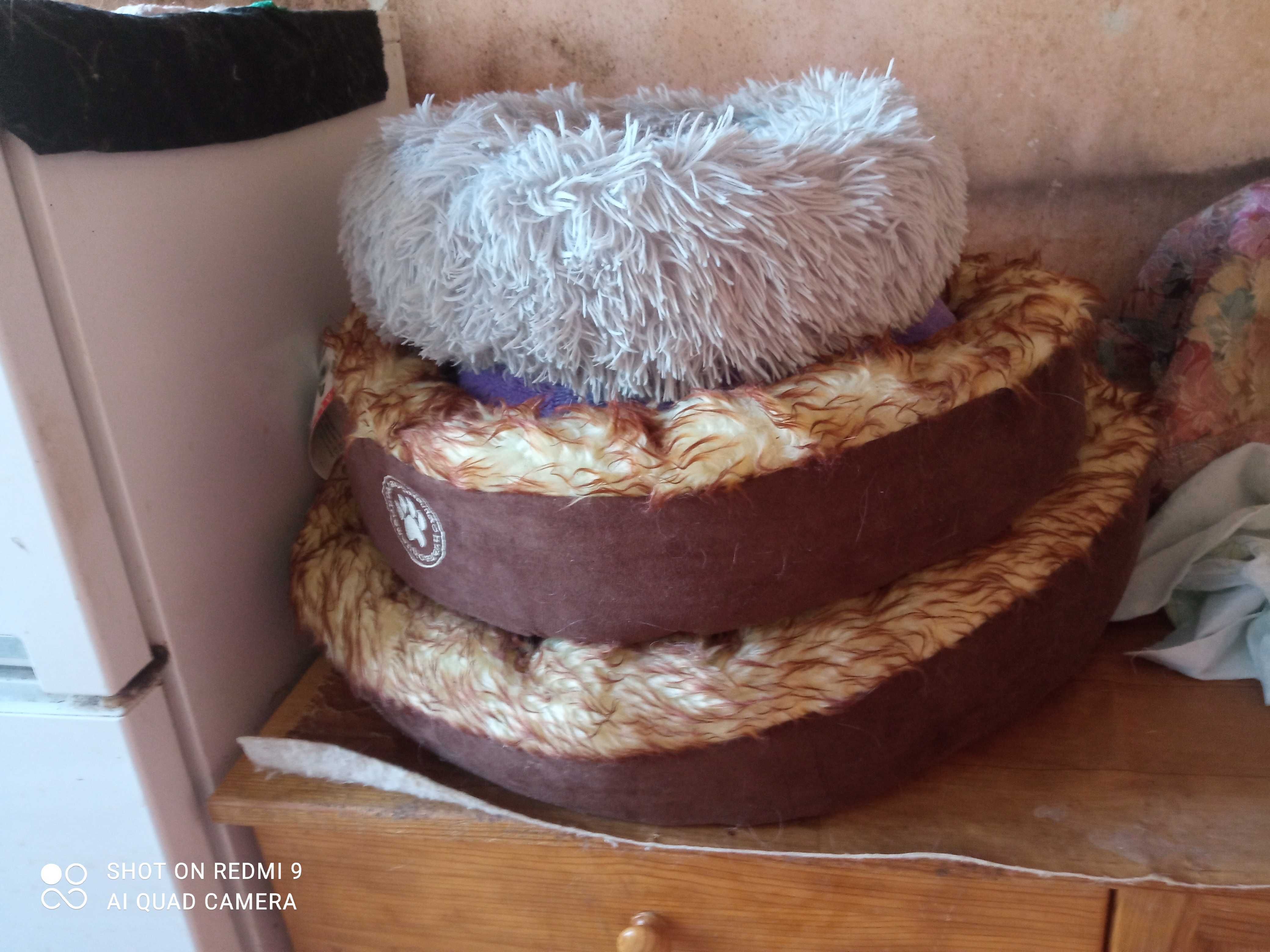 Продавам легълца за коте и малки кученца