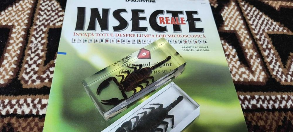 Scorpion + revista din colectia Insecte reale de vanzare
