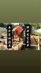 Аренда Мешалка Прокат Бетономешалка Миксер Бетоносмеситель Тачка Арба