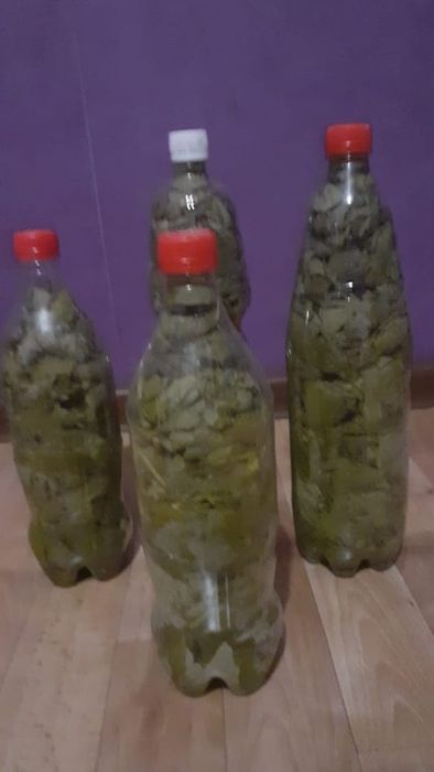 Виноградные листья